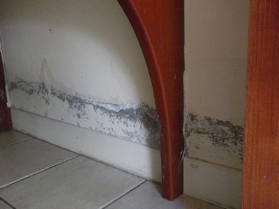 humidite maison traitement assechement murs_7188